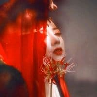 TikTok Account - binganhoa_