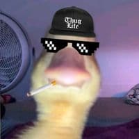 TikTok Account - dehriihawk