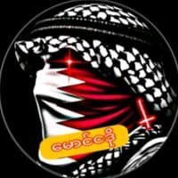 TikTok Account - official.1m49