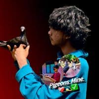 TikTok Account - pigeon___mine_