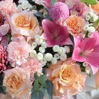 TikTok Account - bulochkyna