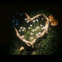 TikTok Account - sweetie_1901