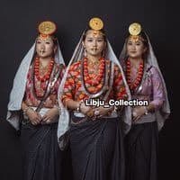 TikTok Account - libju_collection