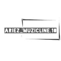 TikTok Account - ariez10_muzic.line