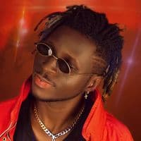 TikTok Account - chicmadame_coiffure