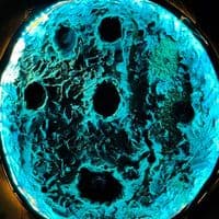 TikTok Account - owengabi2