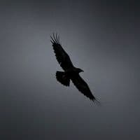 TikTok Account - geryhours786