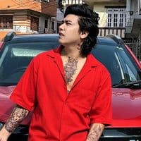 TikTok Account - ark713333