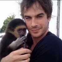 TikTok Account - xzverrrr