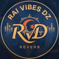 TikTok Account - rai_vibes_dz