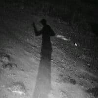 TikTok Account - words852