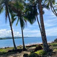 TikTok Account - wl_ma_