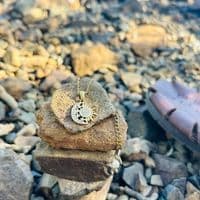 TikTok Account - pndm_nvh0