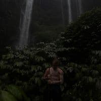 TikTok Account - shuler.ll1