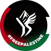 TikTok Account - yousssefstudio