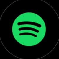 TikTok Account - rolitasg.2