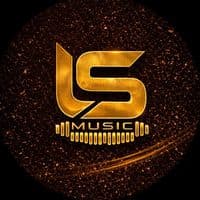 TikTok Account - ls_musicpromotion