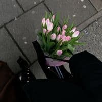 TikTok Account - sbr._.48