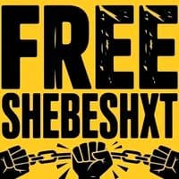 TikTok Account - floplesslyrics