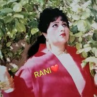 TikTok Account - queenrani542