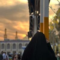 TikTok Account - taranimeal3eshq