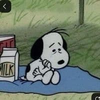 TikTok Account - meinmy_ownworld