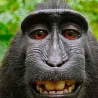 TikTok Account - .4hee555