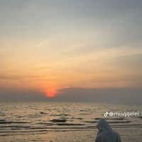 TikTok Account - ollling4