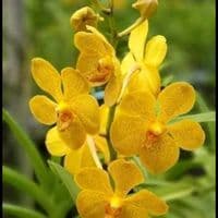 TikTok Account - www.tiktok.com.happy171