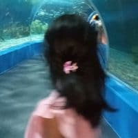 TikTok Account - brienna.janed