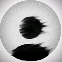 TikTok Account - rox_0720