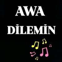 TikTok Account - awa.dilemin