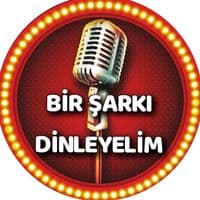 TikTok Account - birsarkidinleyelim