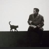 TikTok Account - cinnemahai