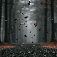 TikTok Account - user9753166370021