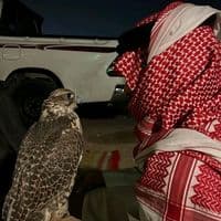 TikTok Account - dawas_el_dalma