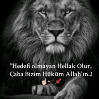 TikTok Account - aslan.kl740