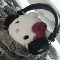 TikTok Account - to_fu0404