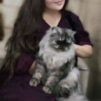 TikTok Account - nahla.barzanii