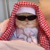 TikTok Account - bsk_al001