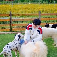 TikTok Account - phamminhhau7558