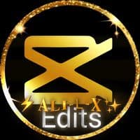 TikTok Account - alilx002