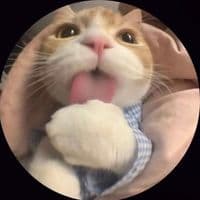 TikTok Account - _bunnie7