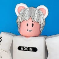 TikTok Account - wooini_90