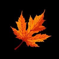 TikTok Account - user36181122675182