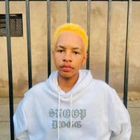 TikTok Account - thandolwethu.luswazi