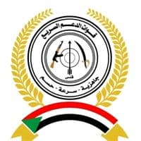 TikTok Account - petitwachimi