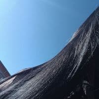 TikTok Account - aguilerasiliska_04