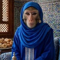 TikTok Account - 9ardoucha1