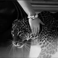 TikTok Account - 819.rm